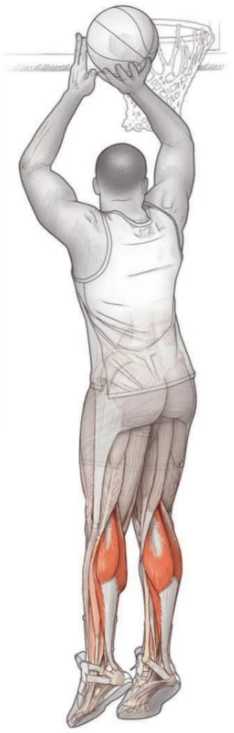_0