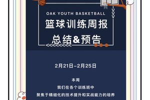  为什么企业愿意赞助篮球训练和发展活动：深度解析与策略指南